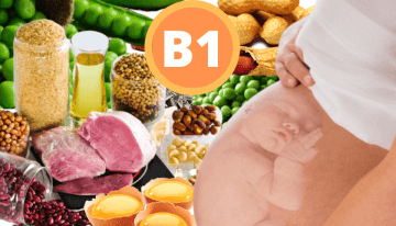 Tiamina vitamina B1 na gravidez Cantinho Infantil da Mamãe