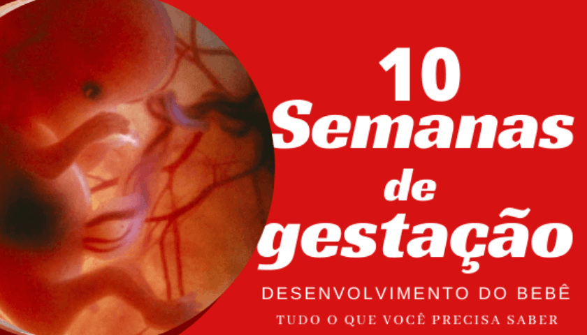 10 Semanas De Gravidez Gravidez Semana A Semana 