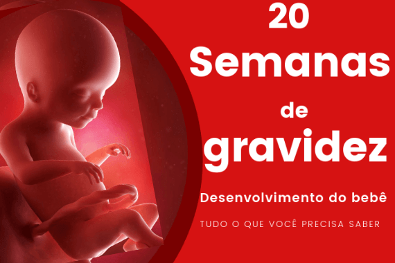 20 Semanas De Gravidez Tudo Sobre O Desenvolvimento Do Bebê Cantinho Infantil Da Mamãe 