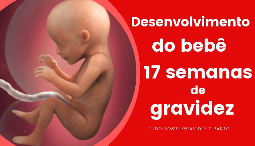 17 Semanas De Gravidez Cantinho Infantil Da Mamãe 