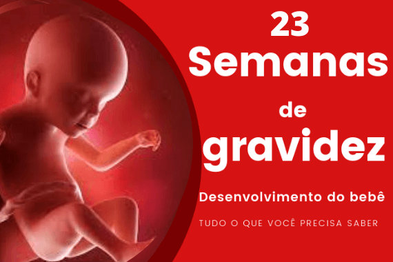 23 semanas de gravidez, desenvolvimento do bebê