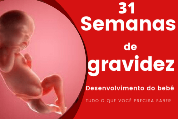 31 semanas de gravidez