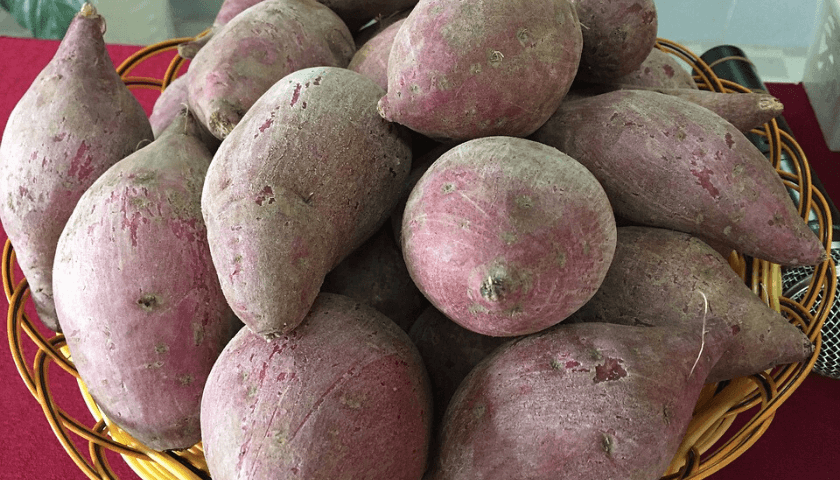 batata doce na amamentação 