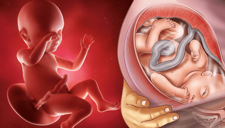 39 Semanas De Gestação Cantinho Infantil Da Mamãe 