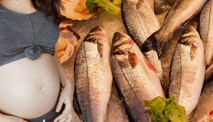 beneficios de comer peixe