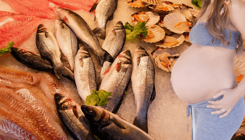 Dicas saudáveis, comer peixes na gravidez