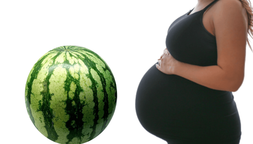 Crescimento Do Bebe Na Barriga Comparação Semana A Semana Com Frutas E Legumes Cantinho 