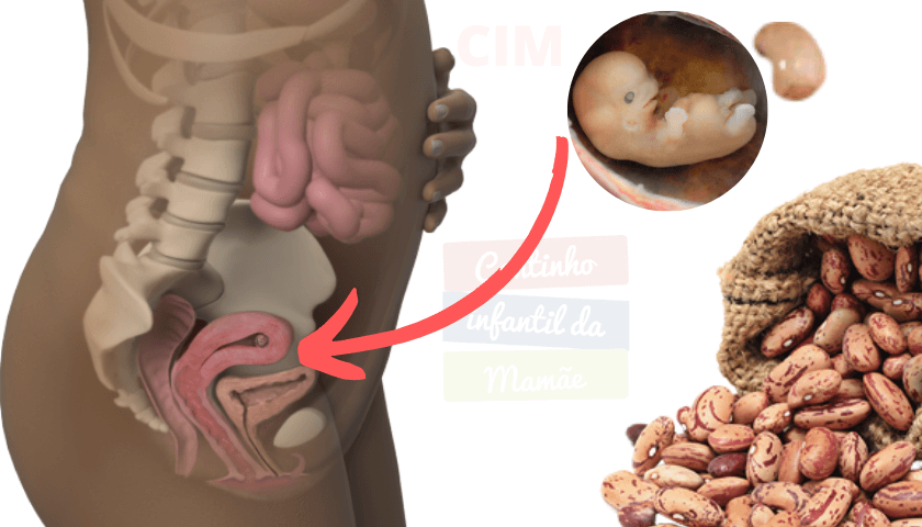 crescimento do bebe na barriga, com 8 semanas