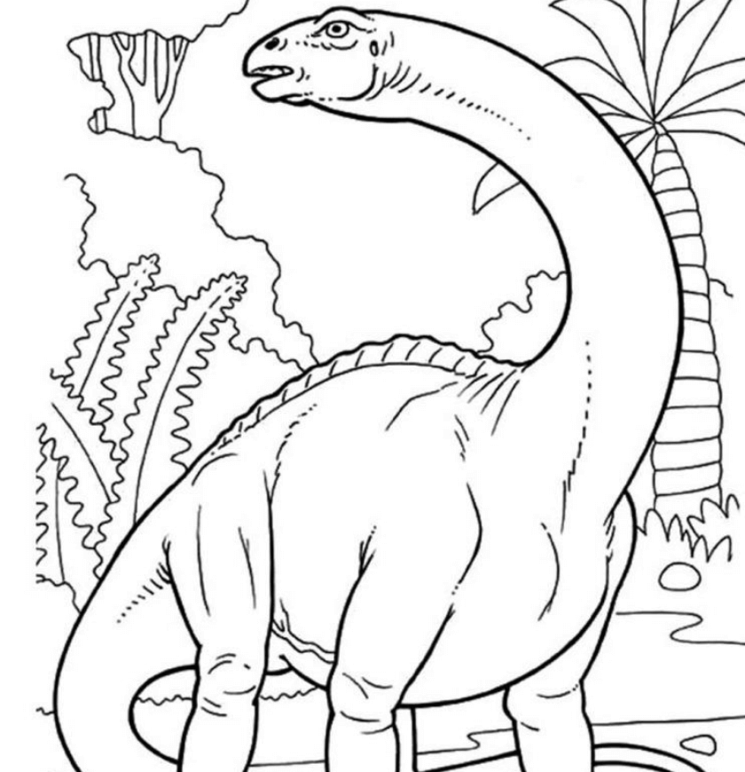 desenhos de dinossauros para colorir facil 12827792 Vetor no Vecteezy