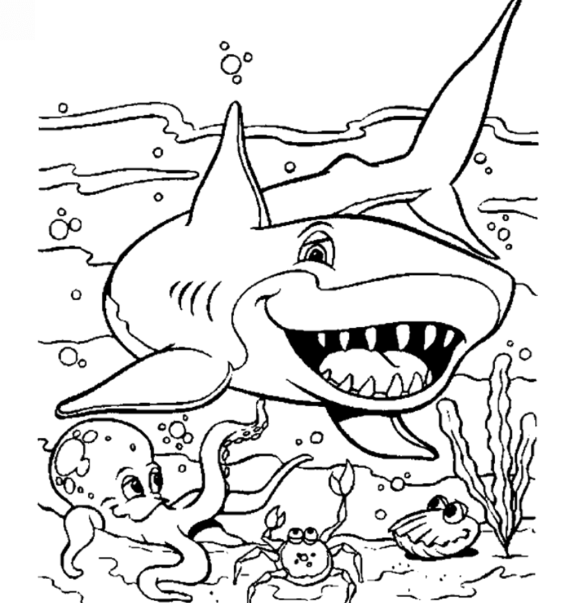 desenho de tubarão para colorir